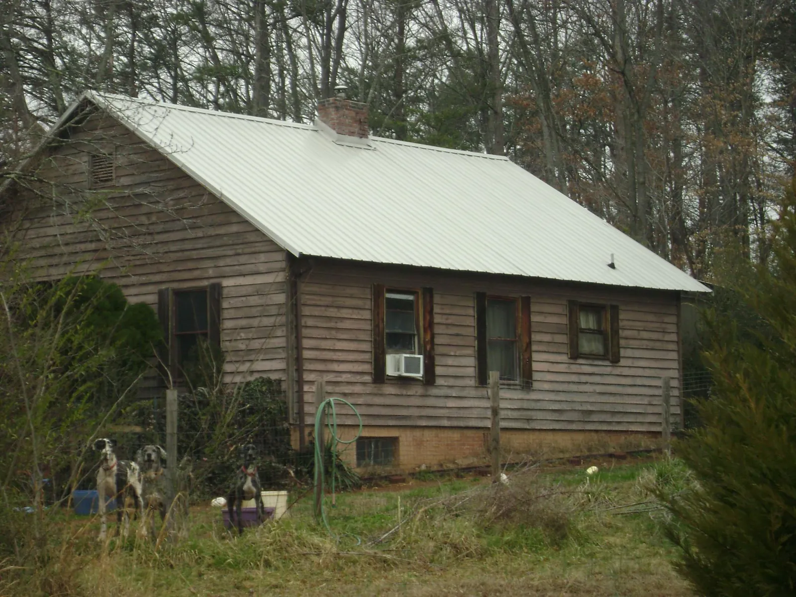 White metal roof on an old wood sided farmhouse, from a Asphalt Shingle Roof Repair job in Jamieson